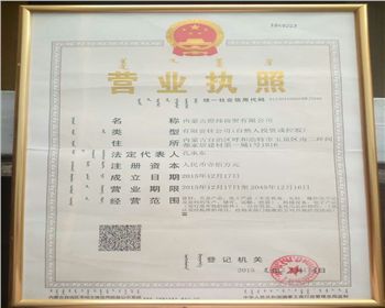 內蒙古煜煒新材料技術有限公司營業執(zhí)照